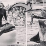 Orca trainer is 😱 devoured by this one while perfor…see more