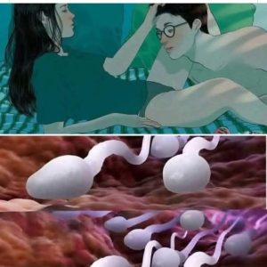 🛑 Studies reveal that swallowing your partner’s semen…